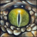 Augenblick einer Sandotter Acryl auf Leinwand;
30 x 30 cm